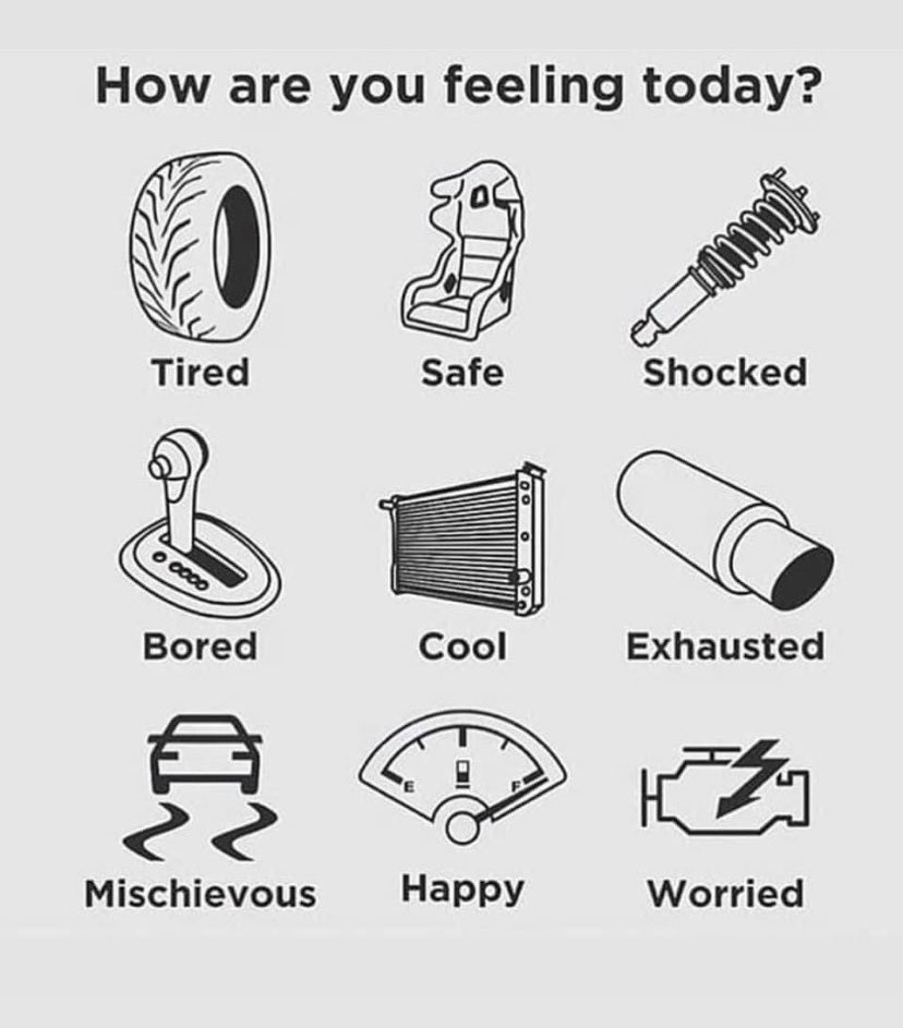 ACWRacing71's tweet photo. How are we feeling today #Twitter ?? https://t.co/P92x4PyIuh