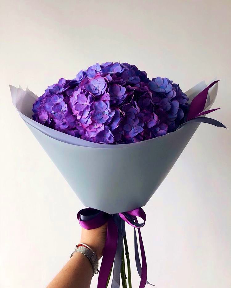 bunches_app's tweet photo. #حزب_البنفسج 💜 https://t.co/vrx6ZbXFSm