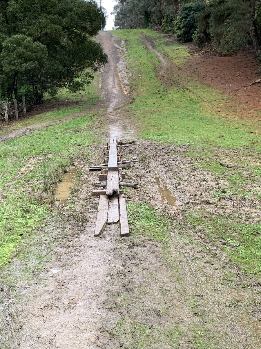 SueDuke1's tweet photo. Mud glorious mud! On the Melbourne water access track. We are having a very wet winter here in Melbs. Thanks to the lovely neighbour who built a boardwalk for us all to traverse across. #lovelyNeighbours #mudMud #rain #winter https://t.co/tBDbH51IvC