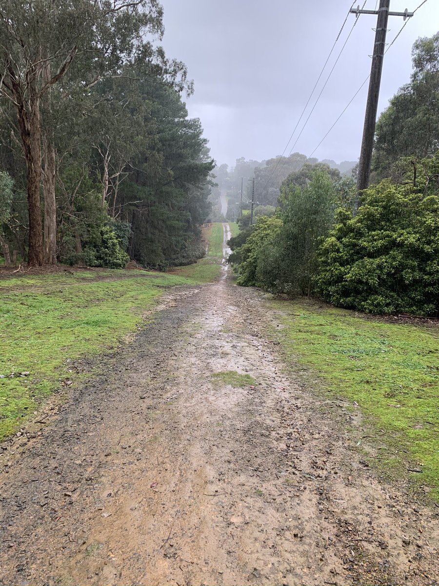 SueDuke1's tweet photo. Mud glorious mud! On the Melbourne water access track. We are having a very wet winter here in Melbs. Thanks to the lovely neighbour who built a boardwalk for us all to traverse across. #lovelyNeighbours #mudMud #rain #winter https://t.co/tBDbH51IvC