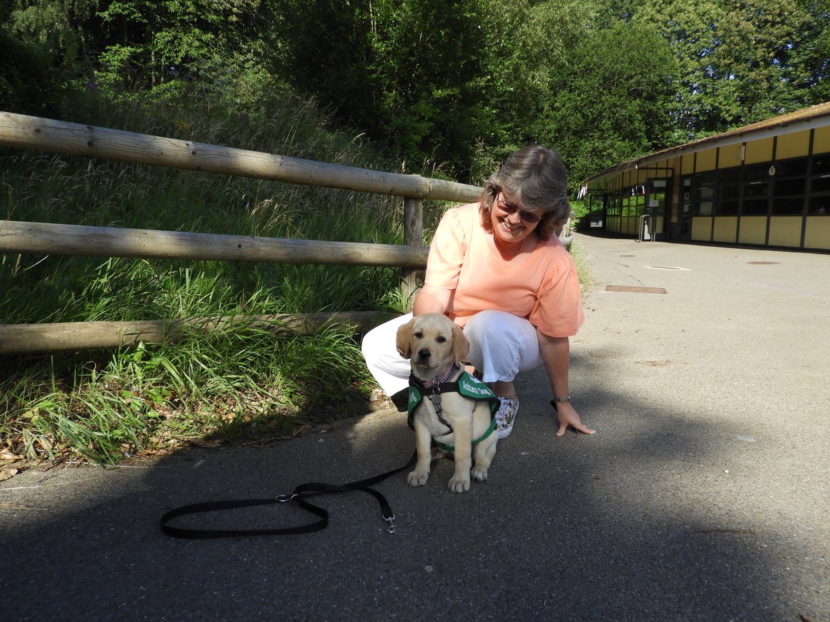 khskent's tweet photo. Thea had a successful visit to @khskent yesterday with @PawsSupporting. https://t.co/ix6t1I2zbi