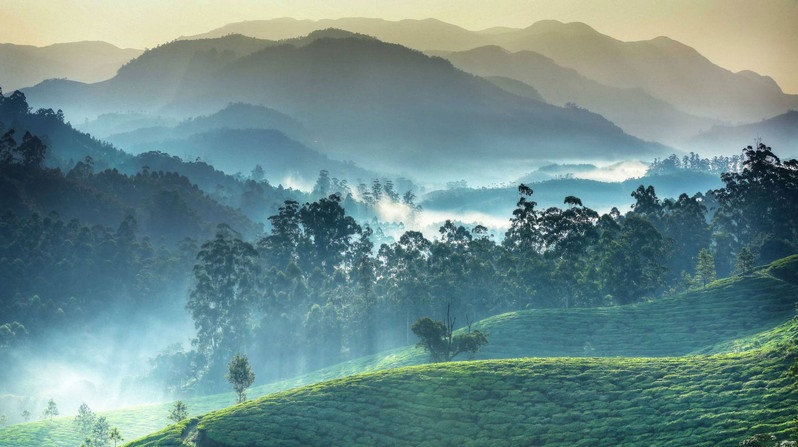 மூணாரை என்ற ஊரை விவரிக்க சொர்க்கம் என்று வார்த்தை நிஜமாகவே போதாது. (இழை)