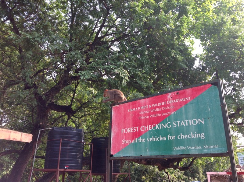 உடுமலை தாண்டி செக் போஸ்ட், அன்பின் தமிழ்காவலர்கள் மூன்றுமுறை சோதனை என்ற பெயரில் ஒவ்வொன்றிலும் 30ரூபாய் வாங்கிக்கொண்டு எதையும் சோதனை செய்யாமல் கேரளாவிற்குள் விடுவார்கள். கேரள செக் போஸ்டில் காசு கொடுத்தால் காறி உமிழ்ந்து வாகனத்தை முழு சோதனையிட்டு பிளாஸ்டிக் அகற்றி அனுமதிப்பார்கள்