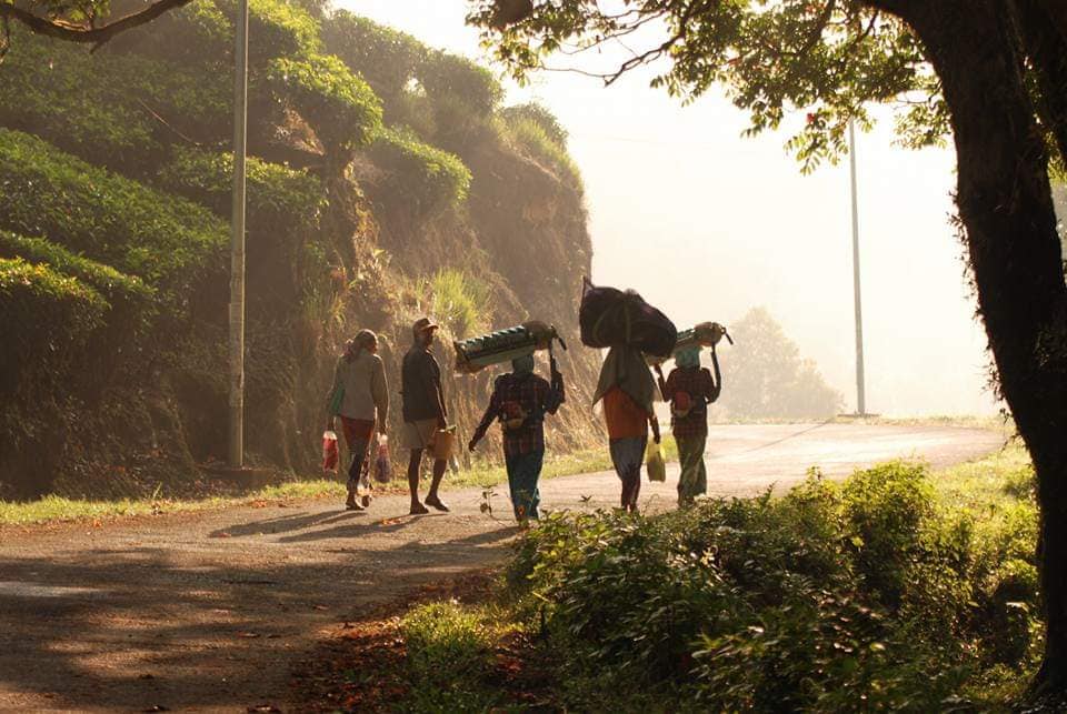 பொதுவா கேரளால எனக்கு ரொம்ப பிடிச்சது என்னன்னா, சுத்தம். சின்ன பேப்பர் கீழ கிடந்தாலும் உடனே சுத்தம் பண்ணிடறாங்க, இயற்கையை அழகா வச்சிக்கிறாங்க, பாதுகாக்கறாங்க... வேதனை என்னென்னா நம்ம ஊட்டி, கொடைக்கானல், ஏற்காடு சுற்றுலா வன பாதுகாப்பு, பராமரிப்பு கூட்டம் எதுக்கு இருக்குன்னே...