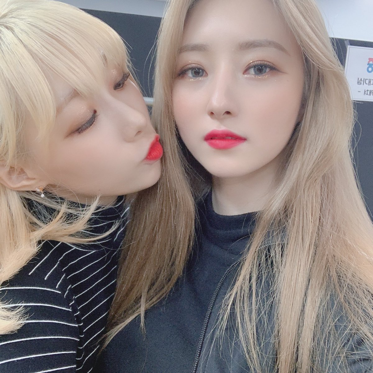 🐤