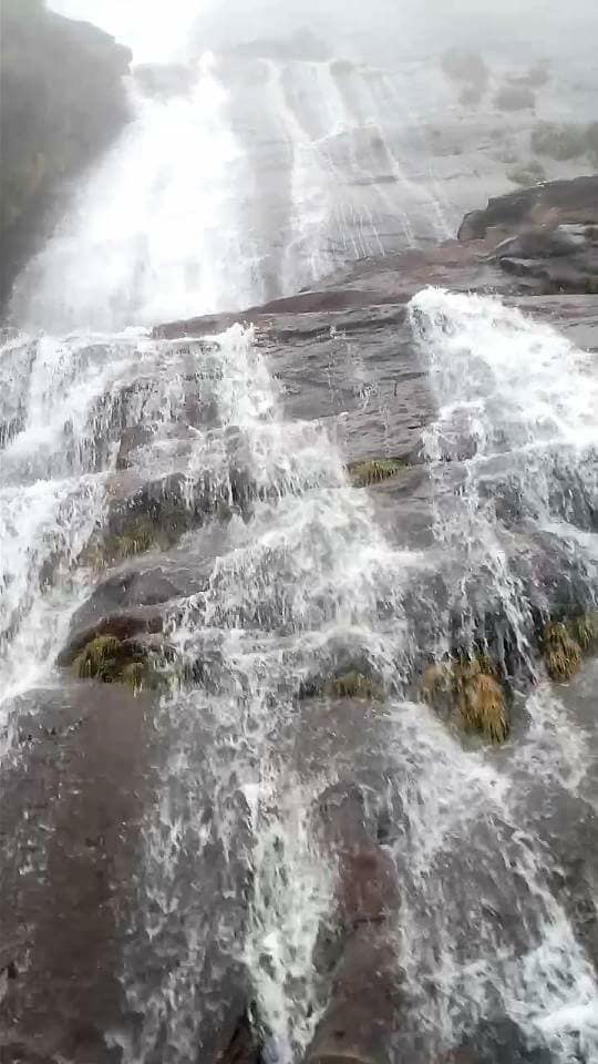 அடுத்தது இரவிகுளம் பார்க்கை தவறவிடாதீர்கள், டிக்கெட் வாங்கி விட்டால், அவர்களே வனத்திற்குள் அழைத்து செல்வார்கள், வெகு உயரத்தில் இருந்து அருவி பேருந்தின் மேல் விழும் அழகு கண் நிறையும். படபட வென நீர் பேருந்தின் மேலும் நம் மேலும் அடிக்கும்போது நம் குழந்தை பருவம் திரும்பும்