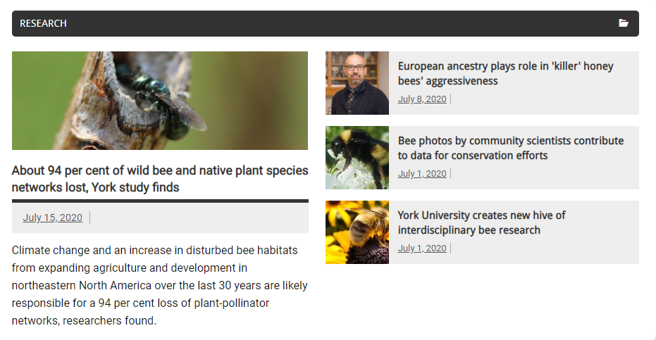 SaveWildBees's tweet photo. Based on today's @YUResearch highlights page, YorkU is the place to bee (hehe) if you're interested in 🐝🐝🐝 research! Ping @BeesYork, @sanrehan @AmroYorkU @VJMacPhail @clementfkent1 @EnvironmentYork @YorkUScience https://t.co/JnhvsBZXBF