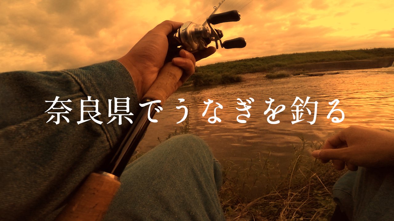 釣りたまご 初心者向け 奈良県でうなぎ釣り 夕方の1時間で2匹釣れました T Co Xtfz1d94ua Youtubeより うなぎ うなぎ釣り ウナギ釣り うなぎ好き 奈良県 Youtubechannel Youtuber 釣り好きな人と繋がりたい 釣り好きと繋がりたい 釣りたまご 初心者向け 奈良県でうなぎ釣り 夕方の1時間で2匹釣れました T Co Xtfz1d94ua Youtubeより うなぎ うなぎ釣り ウナギ釣り うなぎ好き 奈良県 Youtubechannel Youtuber 釣り好きな人と繋がりたい 釣り好きと繋がりたい