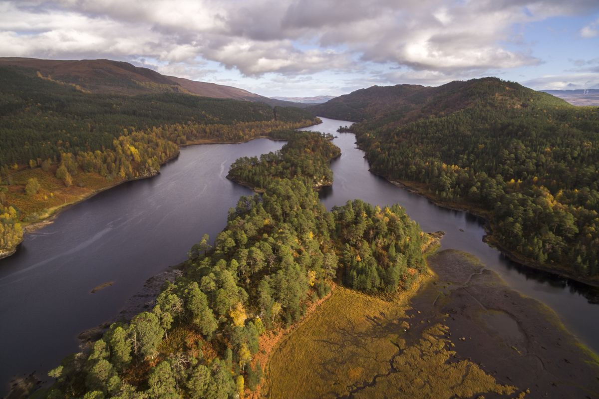 ScotlandTBP's tweet photo. Rewilding is often framed as a choice between nature and people. It absolutely isn’t. 

https://t.co/mAn7kdaIrR https://t.co/fWDxuhd5Wc