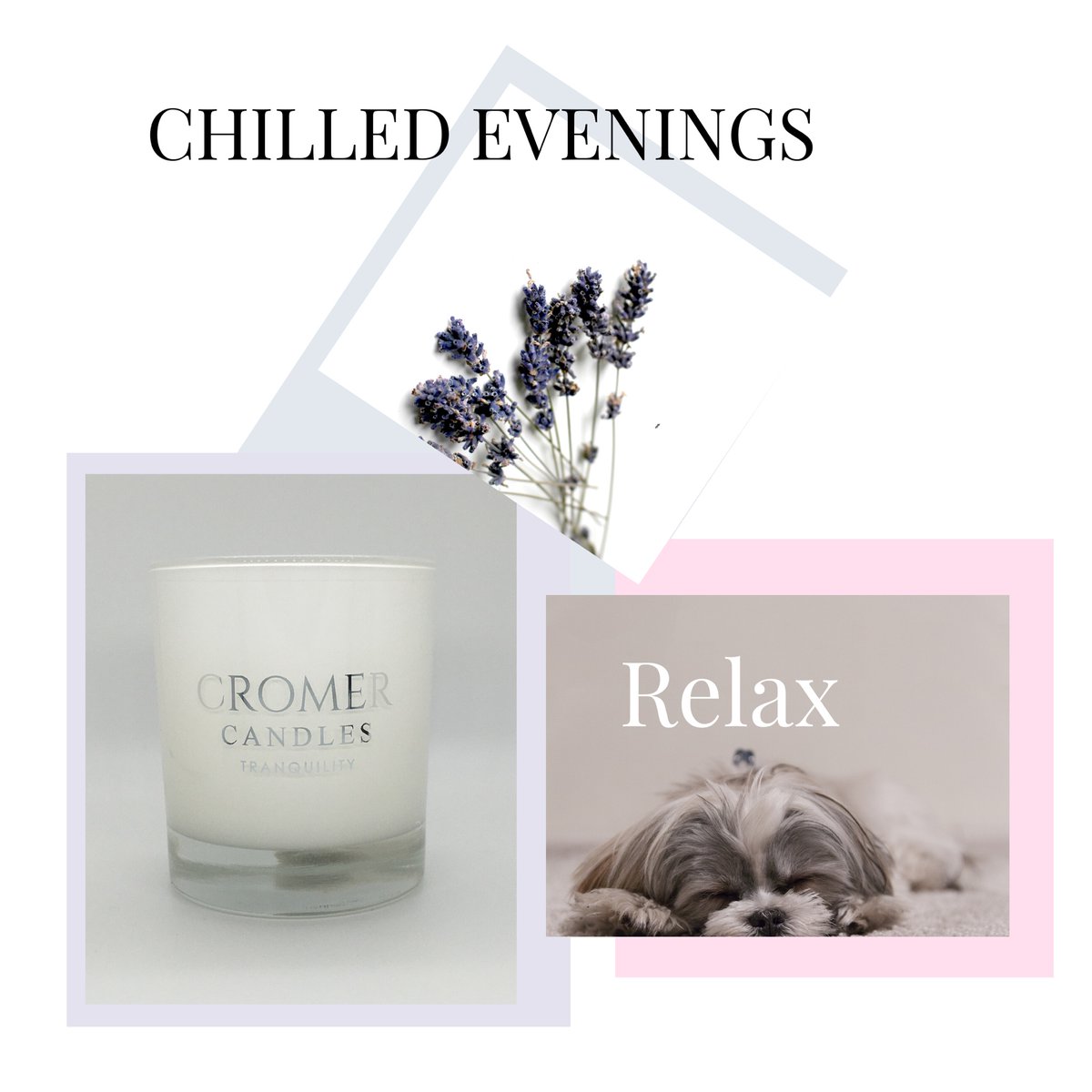 CharlotteCromer's tweet photo. #candles #lavender #tranquility #cromercosmetics #cromercandles #comingsoon https://t.co/qltlnwkVBw to subscribe for information and launch details https://t.co/5xLF6Fbv6r