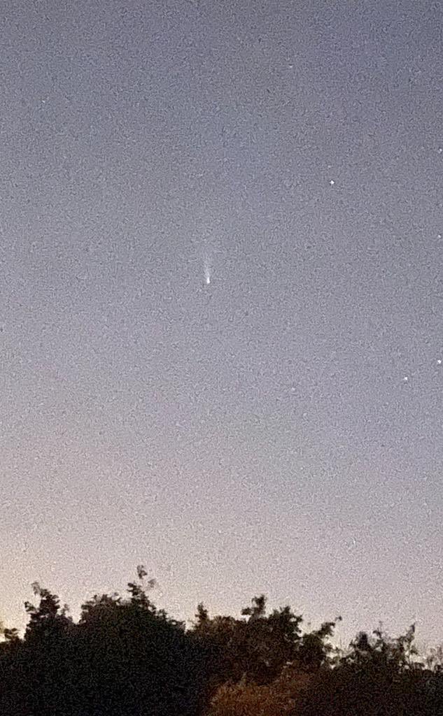 Managed to capture the Comet Neowise last night. Not visible with naked eye but iPhone night mode picked it up.