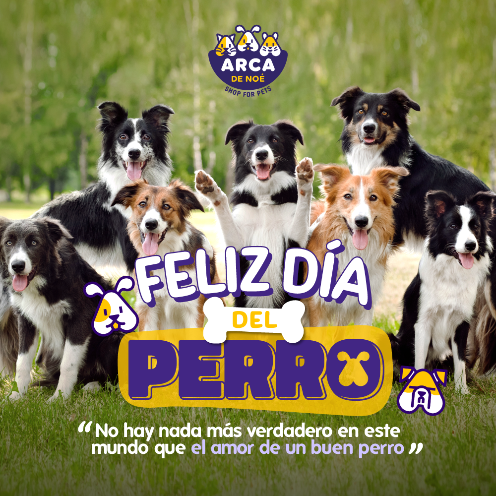ARCADENOEGT's tweet photo. ¡Feliz día del perro! 🥳🥳
Sabías que el perro es el único animal del mundo que te ama más a ti que a sí mismo.
🥰 👇🏼
#ArcaDeNoé #ShopForPets #DíaMundialDelPerro https://t.co/BK1esCSO1P
