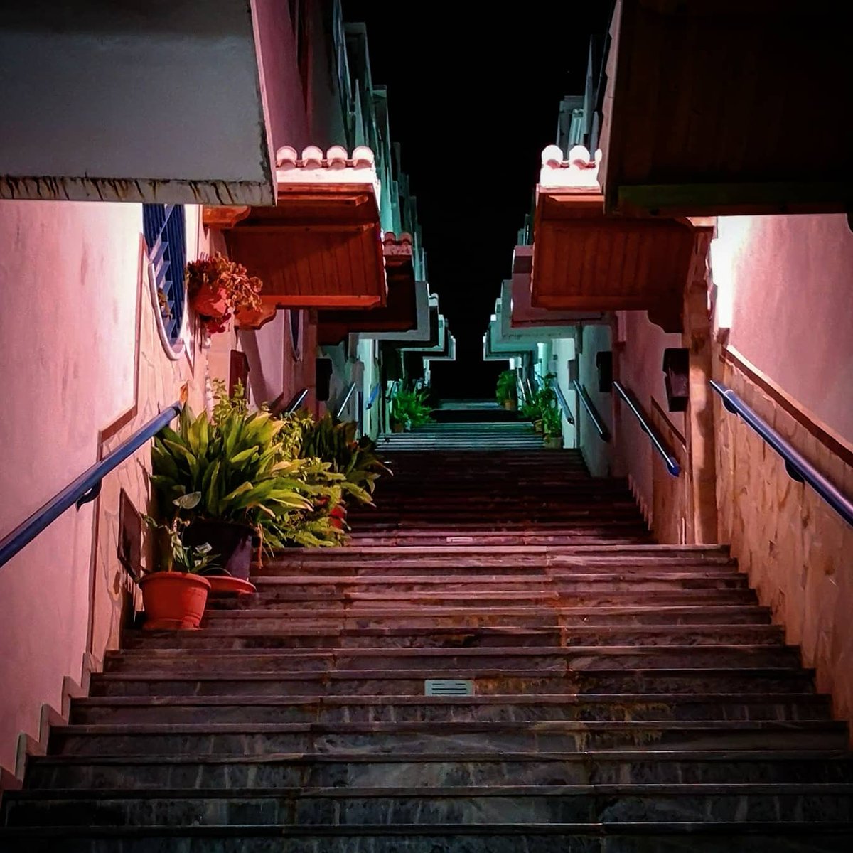 kutaisov's tweet photo. Noche cerrada. Los cálidos tonos devorarán nuestra absurda Ascensión. No hay cielo que nos espere. Almuñécar noir.
.
#almuñecar #neonoir #streetphotography #maneas https://t.co/tNSD4RKvRy