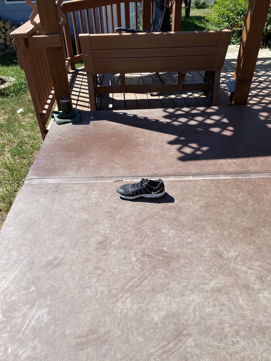 ladygaylepete's tweet photo. Sammy’s new thing is to steal my shoes and put them in different places. Today, the deck! #sillysammy #dogsoftwitter https://t.co/3pFbAgR79l