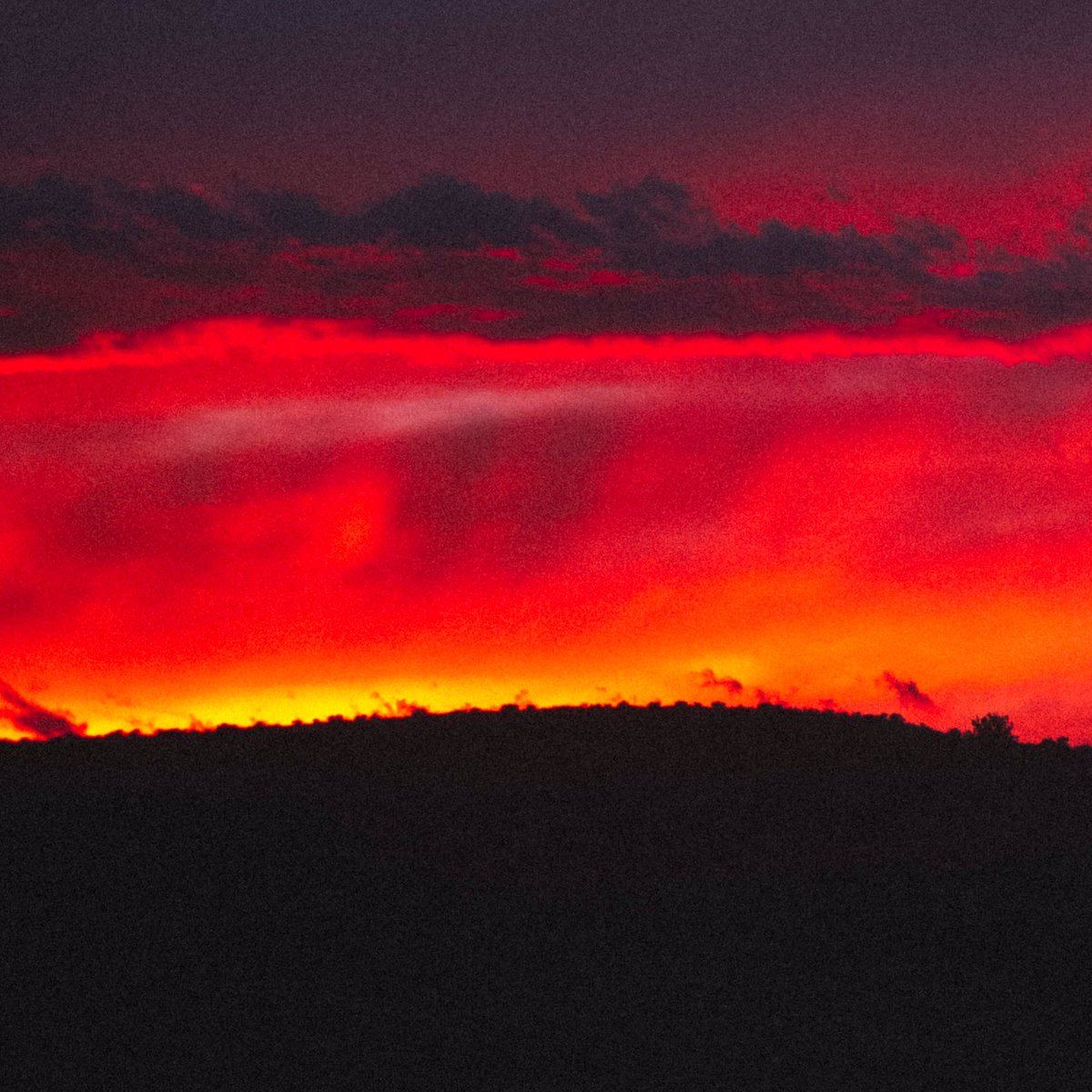 jencaywood's tweet photo. evening radiance https://t.co/CATYDhYg3B