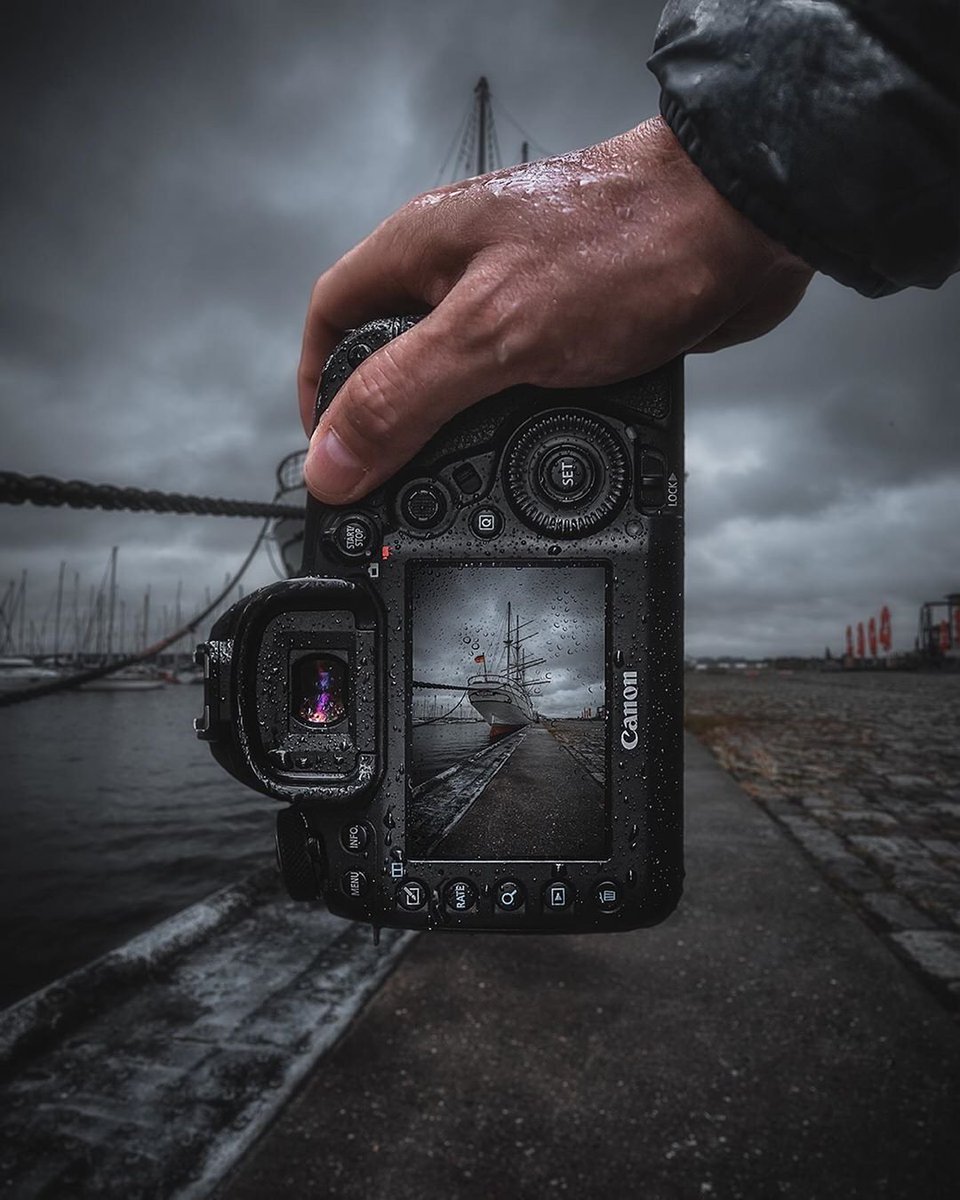 Only Fans Exclusive Network tweet media