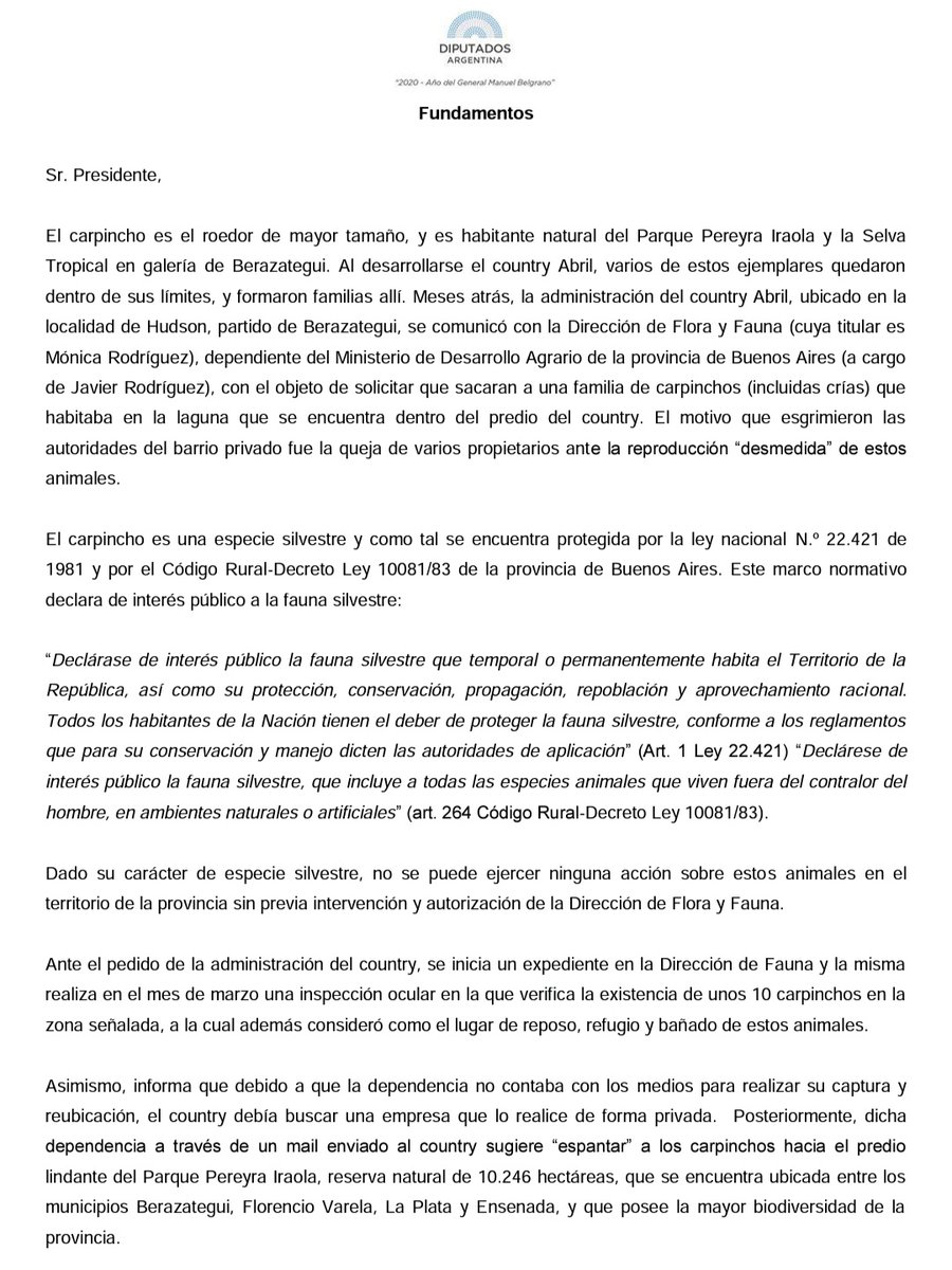 DifusionUnir's tweet photo. El @DiputadoAsseff junto @Titostefani solicitan informe sobre la situación referida a los carpinchos y a la laguna que se encuentra dentro del predio del “Country Abril” en la localidad de Hudson, partido de Berazategui, provincia de Bs. As. https://t.co/SzoYHvqJEo