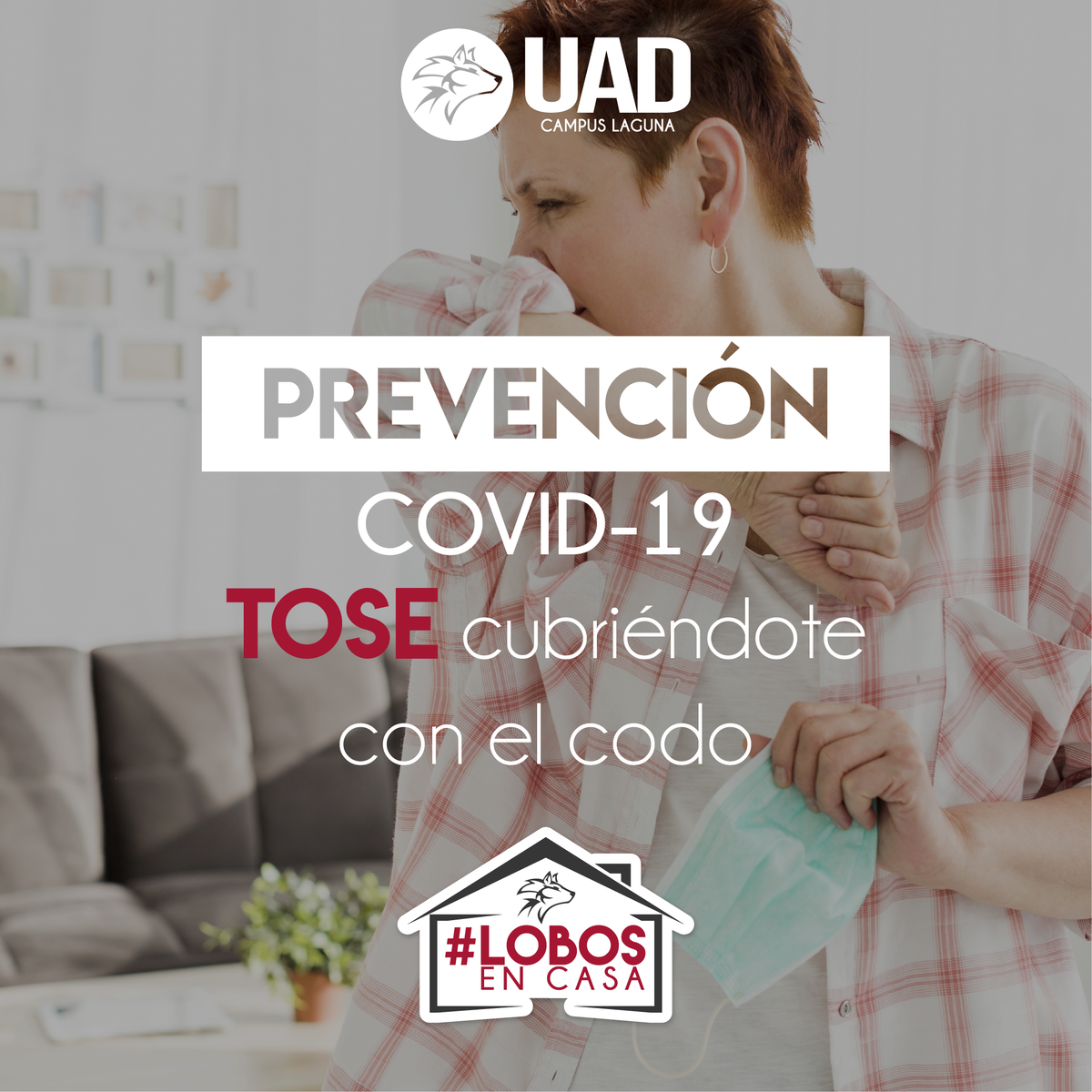 UADLaguna's tweet photo. Con la participación de todos podemos reducir el riesgo de contagio. Sigamos las indicaciones de prevención.
#siempregrandes #siemprelobos #lobosencasa https://t.co/7eBqhtTafj