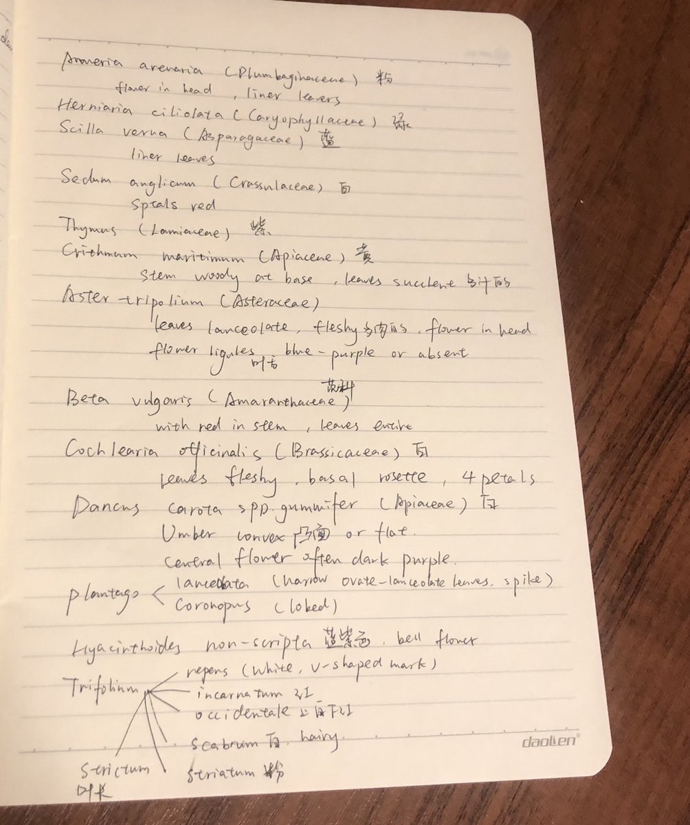 my guessing list before the spot test <a href="/drmgoeswild/">Dr M still going wild!</a> #VirtualFieldCourse