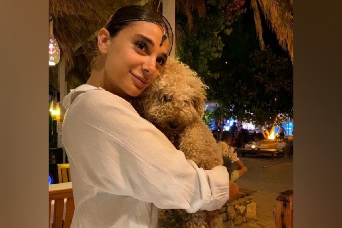 #PınarGültekin'i reddettiği erkek
#SeherFak'ı ise oğlu öldürdü 

1 günde 2 kadın farklı bahanelerle öldürülürken hiç kimse kadınları suçlayamaz. 

Kadınların yaptıkları seçimler değil İstanbul Sözleşmesi'ni uygulamayanlar suçludur.