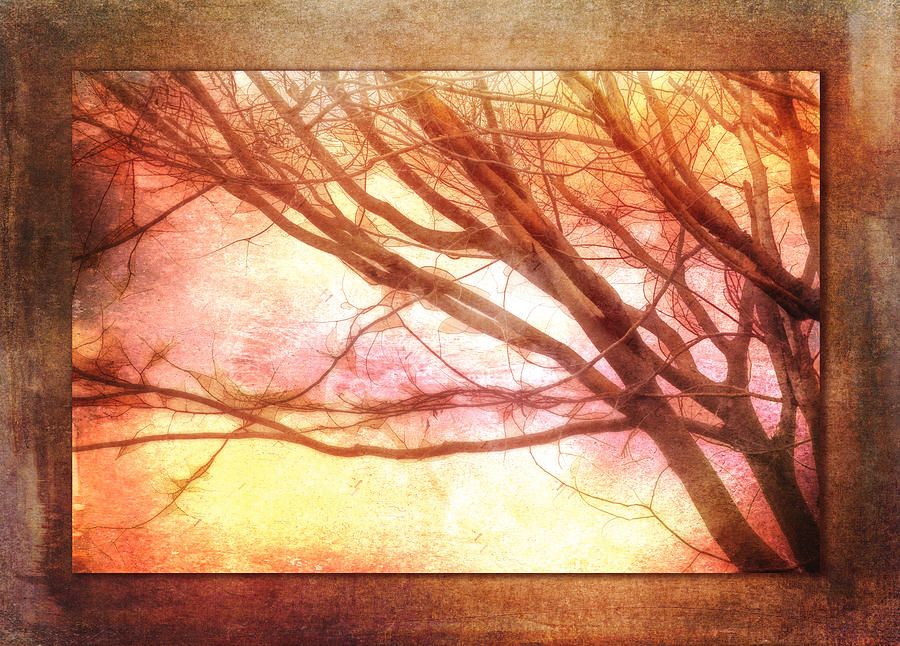 TerryIKON's tweet photo. "Ode to Autumn" by Terry Davis https://t.co/nXf7dqTgWG
#Autumn #Tree #Limba #RustColor #Brown #TerryDavis #TerryIKON https://t.co/xY6gj4B3k1