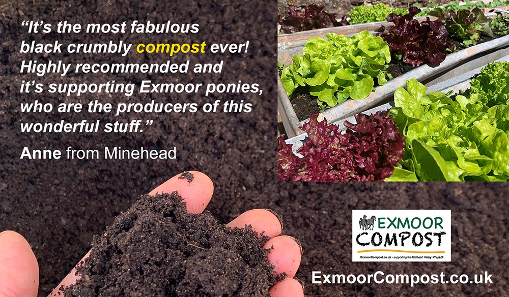 ExmoorCompost's tweet photo. #ExmoorCompost is supplying wonderful, very well-matured &amp; friable Exmoor Pony Poo Multi-Purpose Compost that's getting a big thumbs up from gardeners in the #Exmoor #WestSomerset &amp; #NorthDevon areas. A fundraiser for #ExmoorPonyProject 
@ExmoorPonyClub #buylocal #gardening https://t.co/Qf1vvIrSbo