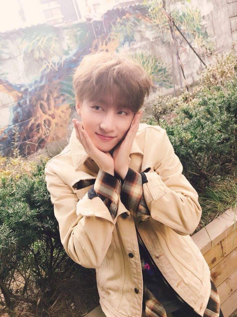 Babie is babie