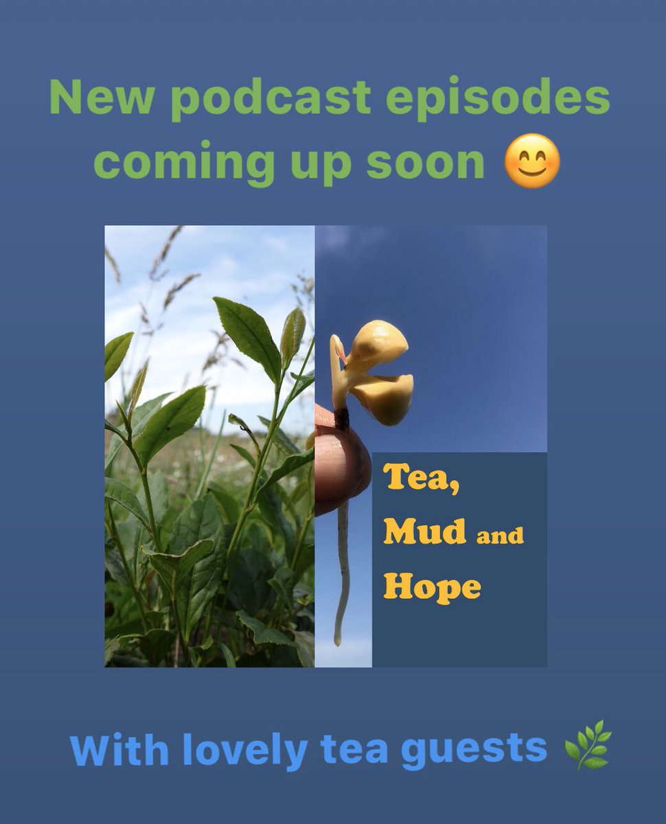 windyhollowscot's tweet photo. For tea geeks 😊 and those who love #nature #biodiversity and #naturalgrowing 🌿🦋🌱#podcast #teapodcast https://t.co/OBAn30oekD