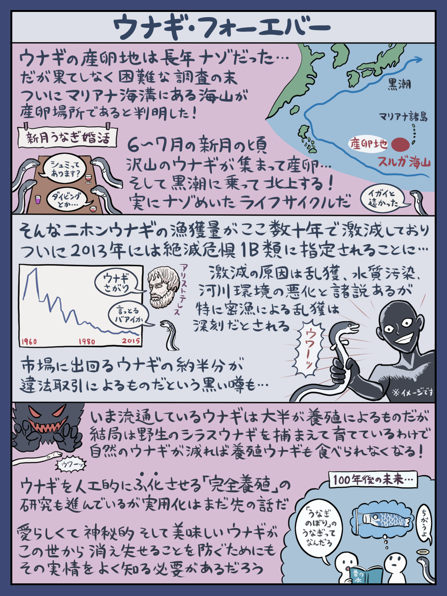 世間的には土用の丑の日らしいので恒例のウナギ図解を貼っておくか…(『図解なんかへんな生きもの』より)。描いたのは数年前ですが、残念ながらウナギをめぐる状況にはあまり改善がないようなので、心ある人間どもの皆様はウナギへの蒙を啓いてください。どうぶつの森でも絶滅したっぽいし… 