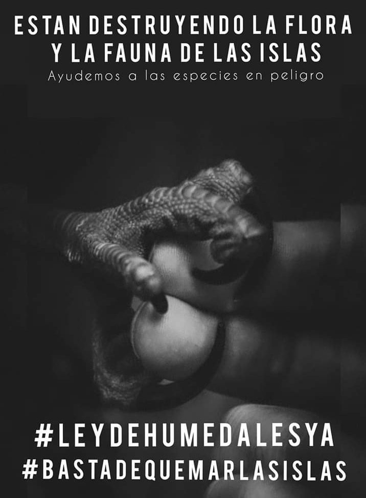 Paren el #Ecocidio en los humedales.
#lluvia por favor y alivio para las islas 
#BastaDeQuemas