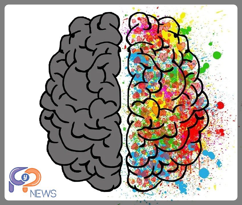 pypnewsok's tweet photo. Alimentos para el cerebro:
Palta/previene el Alzhemier
Frutilla/ayuda a las neuronas
Tomate/contiene antioxidantes
Arándanos/ayuda en el aprendizaje
Frutos secos/protegen contra el deterioro cognitivo y ayudan a preservar la memoria
#alimentaciónsaludable #buenaalimentación https://t.co/3vRzLabBma