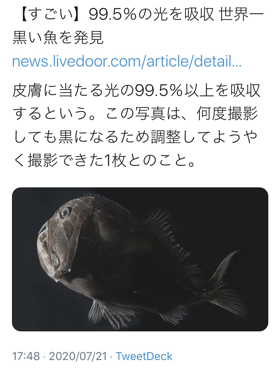 世界一黒い魚 Twitter Search Twitter