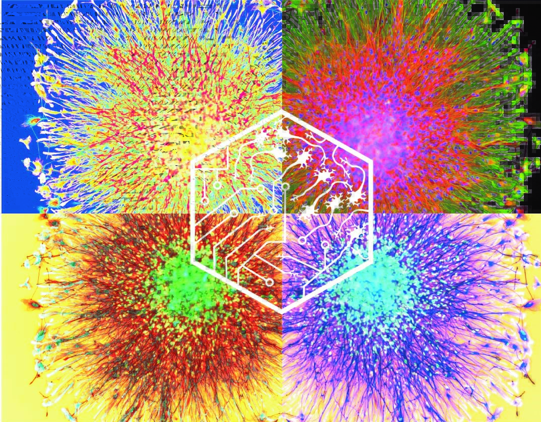 theSeriousLab's tweet photo. Join our team at @TheCrick! We have a postdoc position immediately available to work on a cool new technology development project funded by @BBSRC. Check out the details on our website here: https://t.co/OMryBBkzNV https://t.co/mmiwSO6nhg