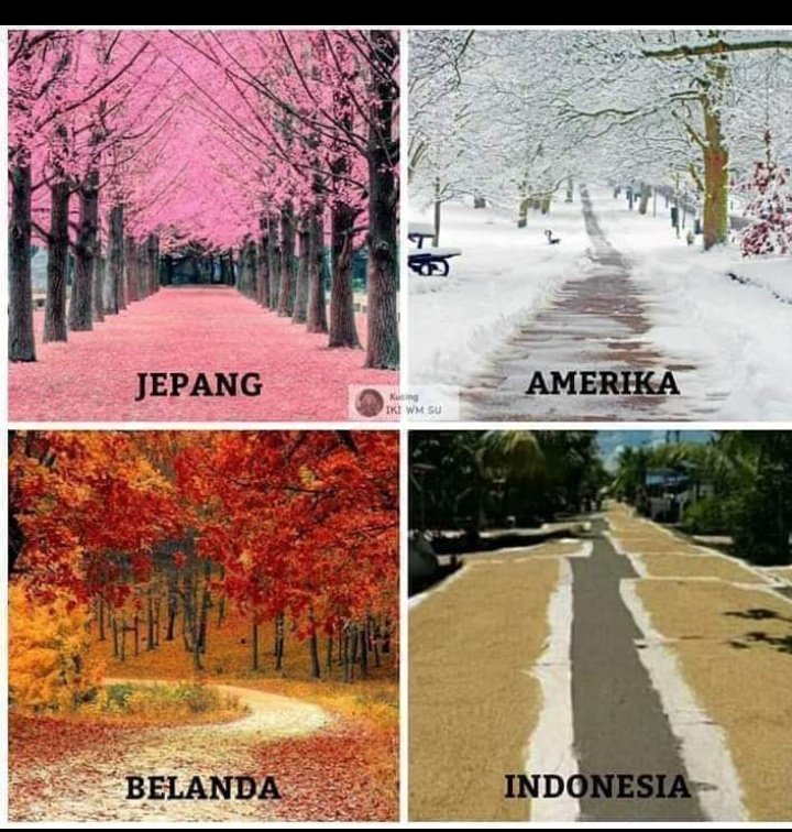 DIDINT_NURR's tweet photo. Bgamana dengan indonesia bagian situ? https://t.co/fH1HVTRm5B