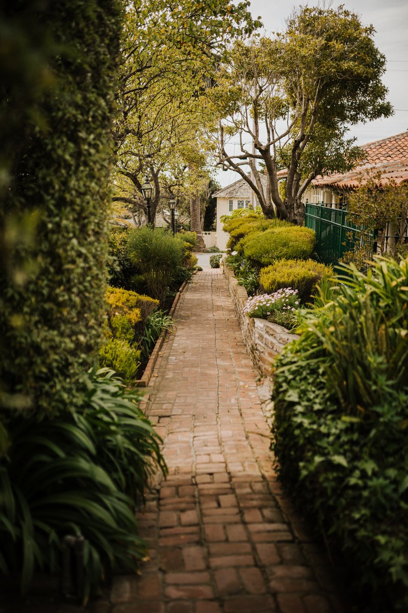 LaPlayaCA's tweet photo. Exploration encouraged. | @tgscollective

#gardenviews #gardenlove #summervibes #onlyincarmel https://t.co/DPc2SpO1q0