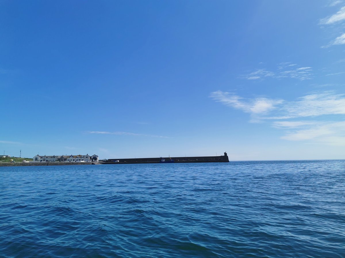 INFER - Remote Sensing of Irish Surface Waters tweet media