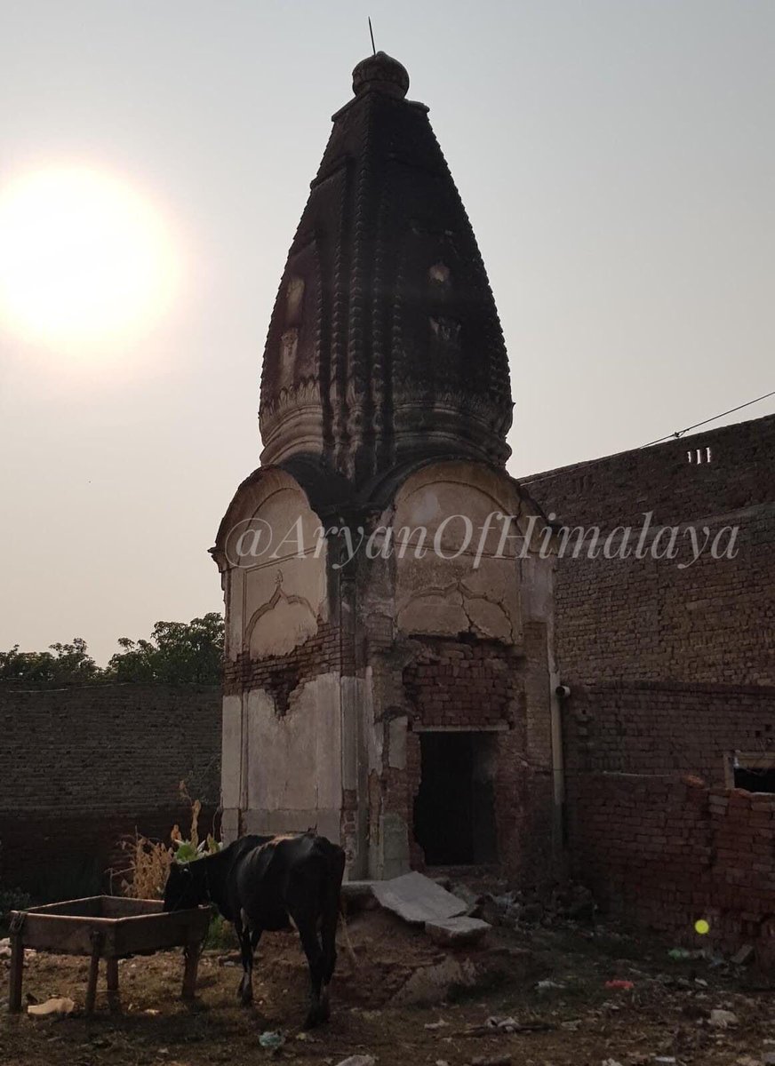 60•One more ruined old Hindu temple in Bhera, Sargodha, Pakistan!