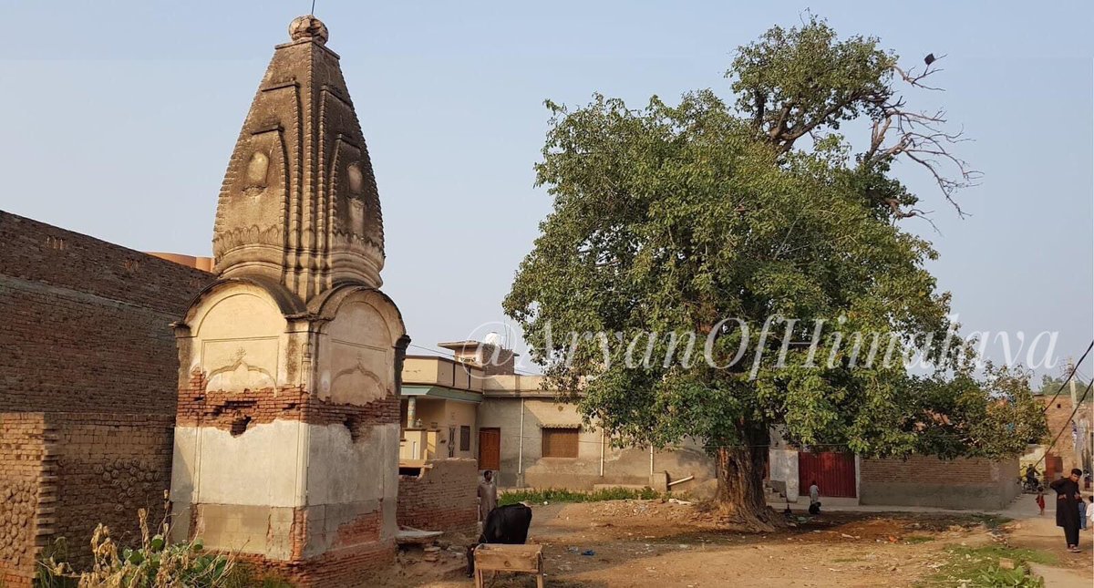 60•One more ruined old Hindu temple in Bhera, Sargodha, Pakistan!