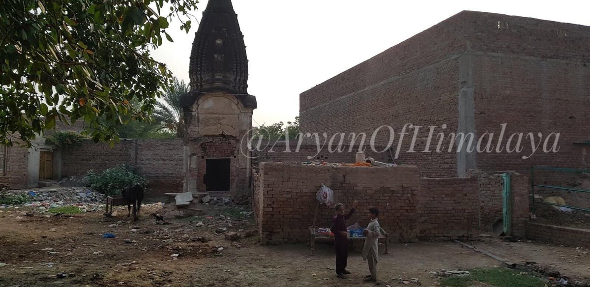 60•One more ruined old Hindu temple in Bhera, Sargodha, Pakistan!