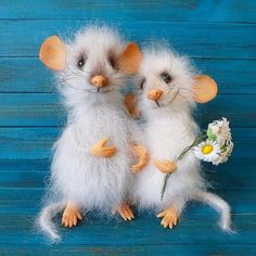 zazafontaine42's tweet photo. J'ai perdue mon inspiration, point de vue photos
Je vous mets ces petites souris, Elles sont adorables.🥰💚 https://t.co/qdB0RAfHPM