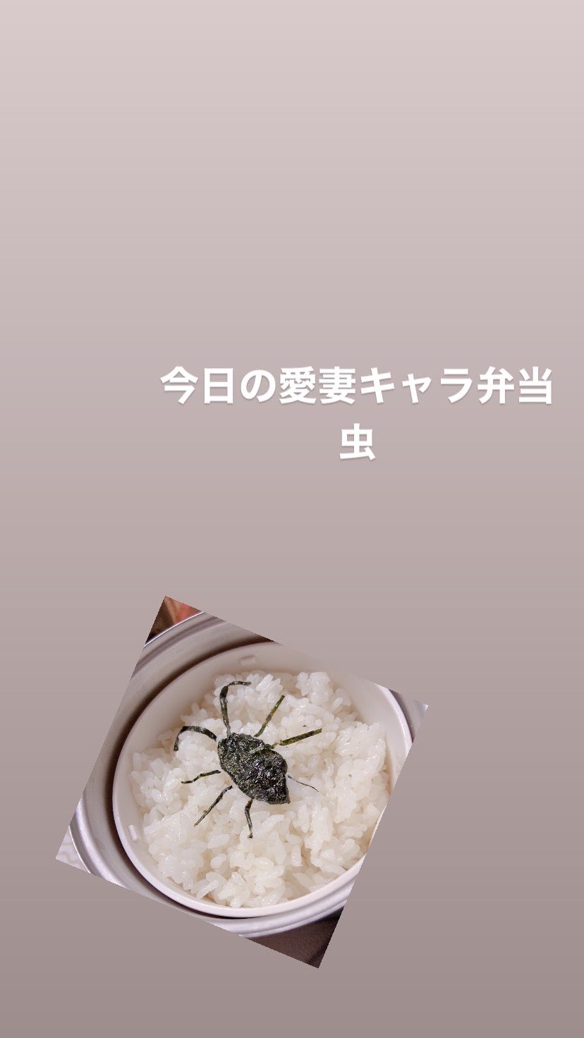 海苔で虫を再現したつもりが 旦那さんに嫌がらせ弁当を作った結果 話題の画像プラス 海苔で虫を再現したつもりが 旦那さんに嫌がらせ弁当を作った結果 話題の画像プラス