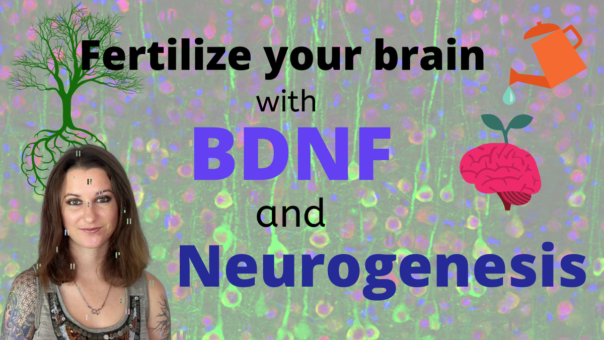 EntheoZen tweet media