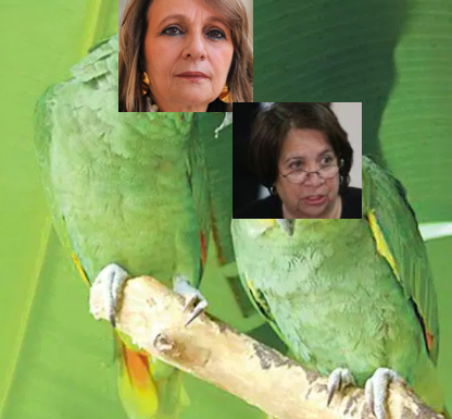 Baruque16's tweet photo. @angelamrobledo y @AidaAvellaE ESTAMOS MAMADOS de la estupidez de los de izquierda, porqué en lugar de estar dispuestas a la CIZAÑA, el odio y la mediocridad, no empiezan a aportarle a este país que tanta benevolencia ha tenido con ustedes dos par de CACATUAS!!! https://t.co/V7vkSOKh0l