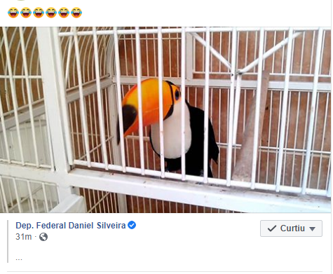 rosana_massari's tweet photo. como assim @davialcolumbre ? #DerretePSDB #DerreteDEM deixem a @policiafederal trabalhar sem interferência política já. https://t.co/h2RBnHAH6A
