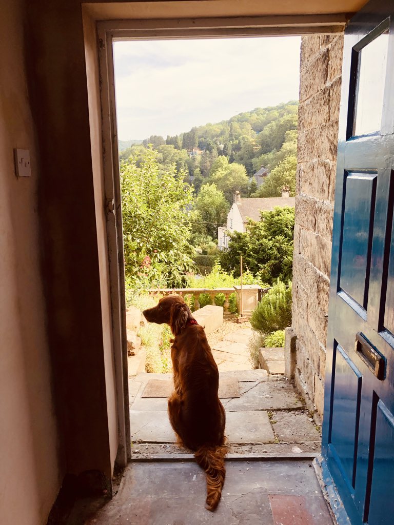 AnnexVue's tweet photo. Hard at work getting ready for guests. Feel like Angel and Dick on escape to the chateau. Lots to do but it will be amazing @missyrundle #peakdistrict #derbyshiredales #weekendgetaway #livingthedream https://t.co/CClV8IjQJ4
