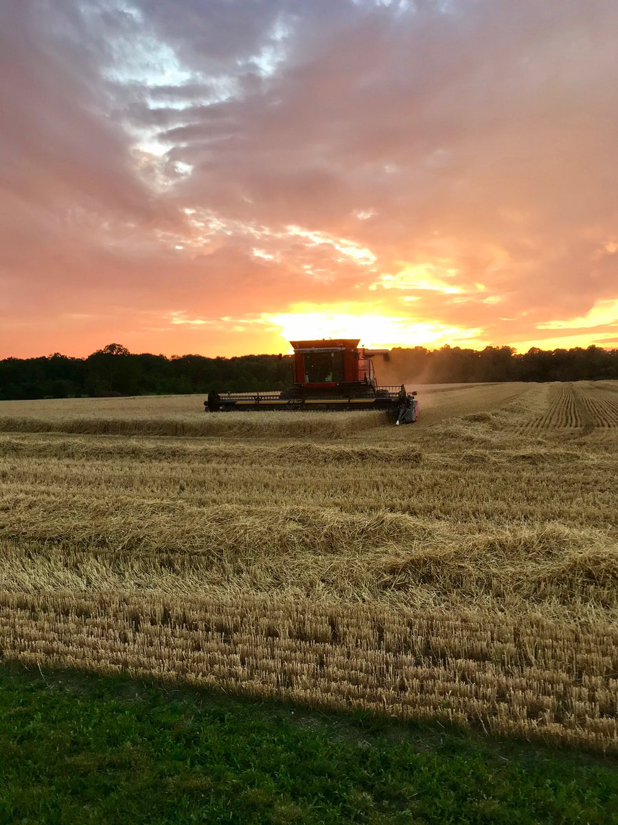 All caught up for wheat harvest. Available for hire in West Elgin area. Dm me for more information!