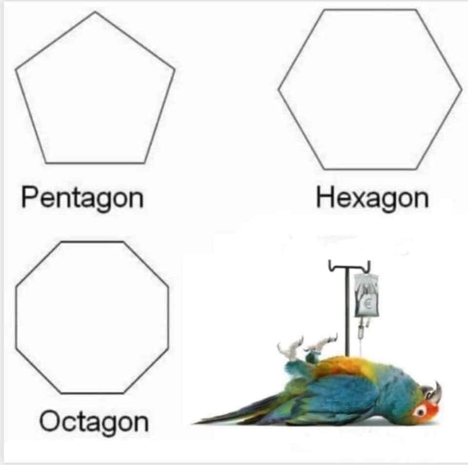 richardkaczynsk's tweet image. Aparrotly there's a simpler answer to this, but my brain went with "Nononono, no, no! 'E's nonagon! 'E's restin'!"
#PythonLife #EverythingINeededToKnowAboutPolygonsILearnedFromMagick