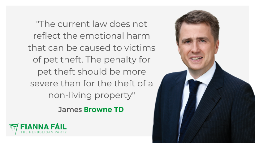 fiannafailparty's tweet photo. Tougher penalties are needed to deter thieves when it comes to pet theft – @JamesBrowneTD 

Read in full: https://t.co/SkAO4w5hNb https://t.co/5cWRArvV8c