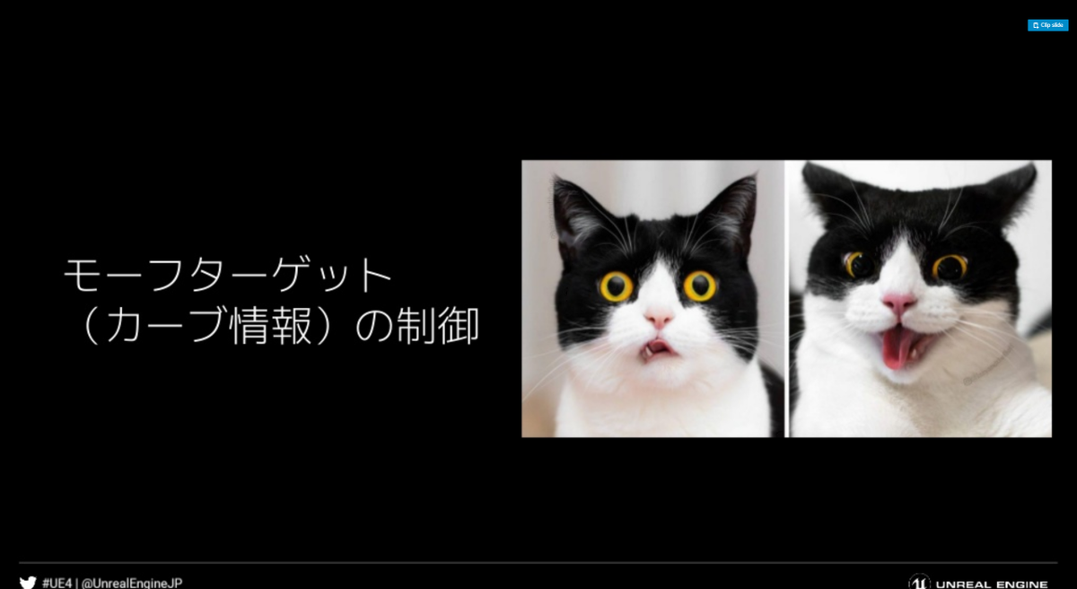 kurosaurus's tweet image. 猫でも分かる Control Rig UE4.25 版 by @UnrealEngineJP #animation #controlrig slideshare.net/EpicGamesJapan… @SlideShareより