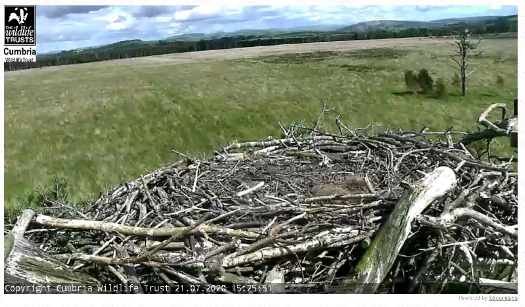 Chris Byers tweet media